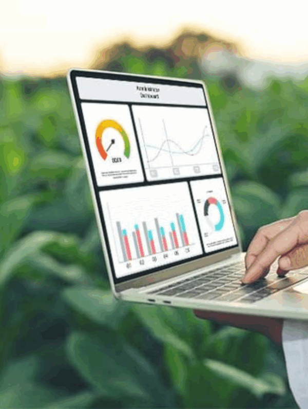 Untitled design (55)